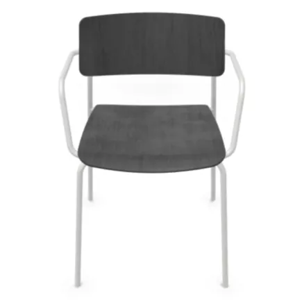 ESSENZA│Chaise en bois avec accoudoirs│Coloris à choix