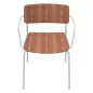 ESSENZA│Chaise en bois avec accoudoirs│Coloris à choix