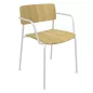 ESSENZA│Chaise en bois avec accoudoirs│Coloris à choix ESSENZA│Chaise en bois avec accoudoirs│Coloris à choix
