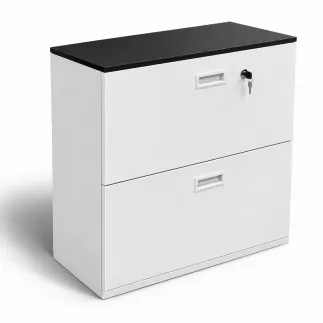 KOENIG NEURATH│Classeur 2 tiroirs dossiers suspendus│L80 x H80 cm│Blanc/Noir