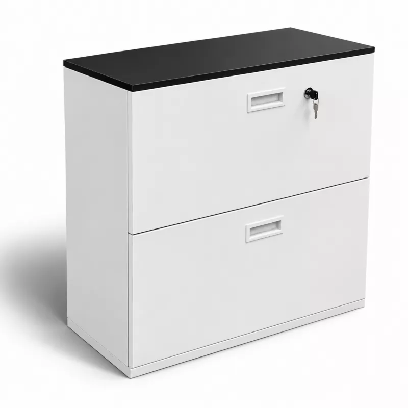 KOENIG NEURATH│Classeur 2 tiroirs dossiers suspendus│L80 x H80 cm│Blanc/Noir KOENIG NEURATH│Classeur 2 tiroirs dossiers suspendus│L80 x H80 cm│Blanc/Noir