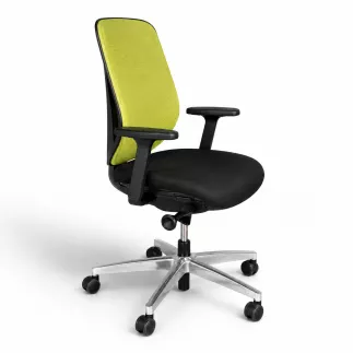 GIROFLEX 353-8029│Fauteuil ergonomique│Accoudoirs│Vert/Noir/Chromée