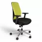 GIROFLEX 353-8029│Fauteuil ergonomique│Accoudoirs│Vert/Noir/Chromée GIROFLEX 353-8029│Fauteuil ergonomique│Accoudoirs│Vert/Noir/Chromée