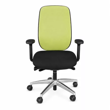 GIROFLEX 353-8029│Fauteuil ergonomique│Accoudoirs│Vert/Noir/Chromée