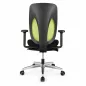 GIROFLEX 353-8029│Fauteuil ergonomique│Accoudoirs│Vert/Noir/Chromée GIROFLEX 353-8029│Fauteuil ergonomique│Accoudoirs│Vert/Noir/Chromée