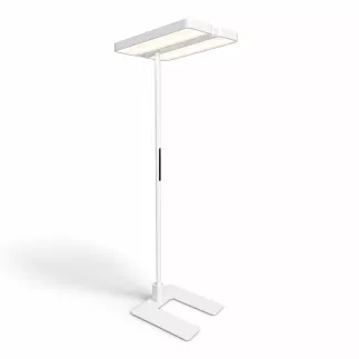 REGENT LIGHTING|LEVEL Office LED SensoDim|Double tête| Blanc