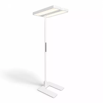REGENT LIGHTING|LEVEL Office LED SensoDim|Double tête| Blanc
