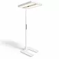 REGENT LIGHTING|LEVEL Office LED SensoDim|Double tête avec capteur de présence| Blanc