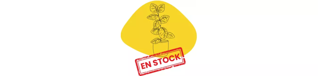Plantes naturelles